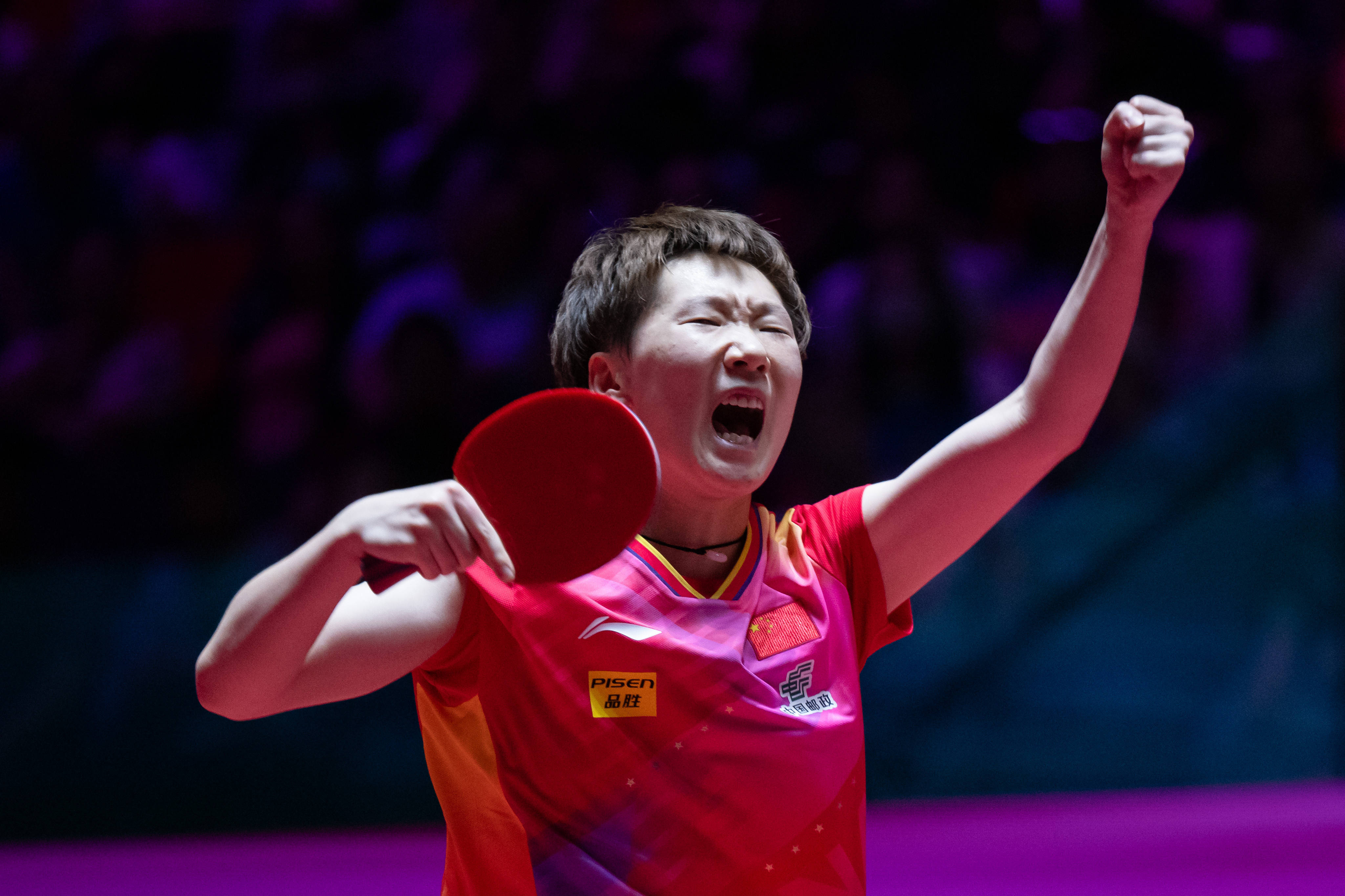 主要体育联 主要体育联