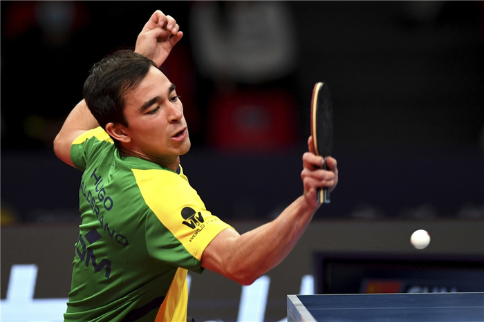 仅展现了杜 仅展现了杜