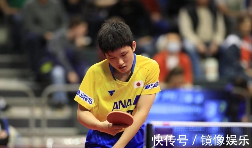 其职业生涯 其职业生涯